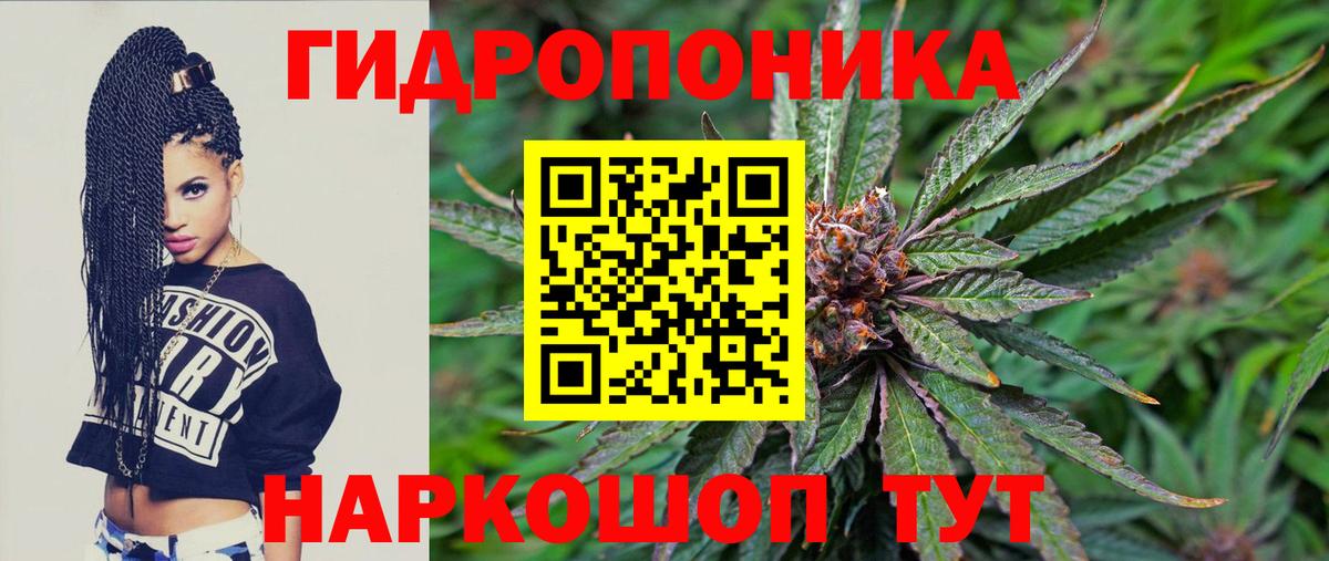 Шишки марихуана марихуана  Вход с VPN  Нижнекамск  Конопля семена  МАРИХУАНА индика 